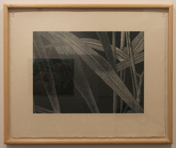 Franz Gertsch - Gräser (black-brown)<br />2003 - woodcut - edition 18 - 72 x 88 cm