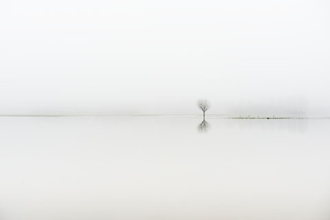 2010 - Different photo techniques, sizes, editions