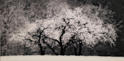 2010 - Different photo techniques, sizes, editions