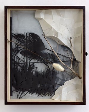 2015 - papercut, mixed media in cabinet - 51 x 42 x 6 cm