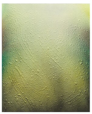 2016 - acylic on canvas - 80 x 65 cm