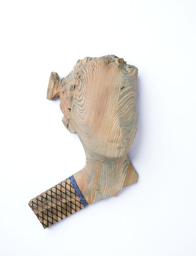 2025 - ink, acrylic on conifers - 23 x 17 x 6 cm