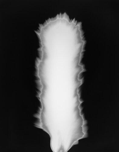 2000 - photo lithograph printed on hand made paper, edition 43 x 75 - 58,5 x 48 on 75,5 x 56,5 cm